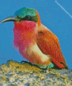 Close Up Southern Carmine Bee Eater Diamond Painting