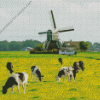 Holstein Cows With Windmill Diamond Painting