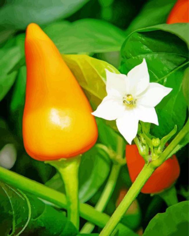Orange Pequin Pepper Plant Diamond Painting