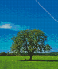 Blue Sky Green Tree Diamond Painting