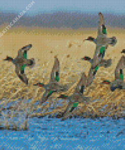 Flying Green Winged Teal Birds Diamond Painting