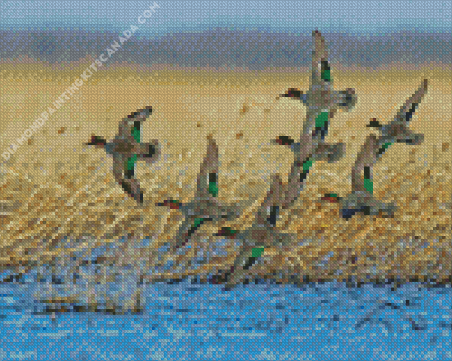 Flying Green Winged Teal Birds Diamond Painting