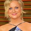 Amy Poehler Diamond Painting