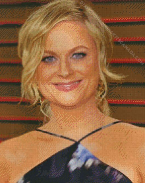 Amy Poehler Diamond Painting