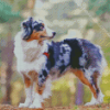 Australian Shepherd Diamond Painting