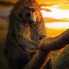 Baboon At Sunset Diamond Painting