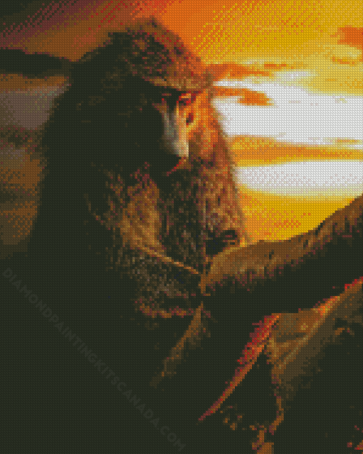 Baboon At Sunset Diamond Painting