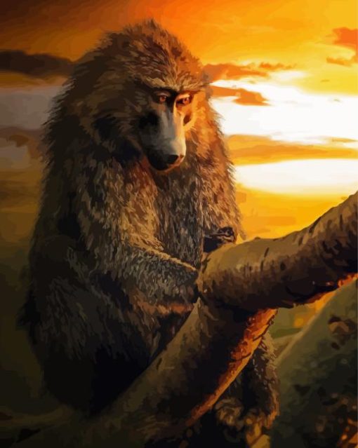 Baboon At Sunset Diamond Painting