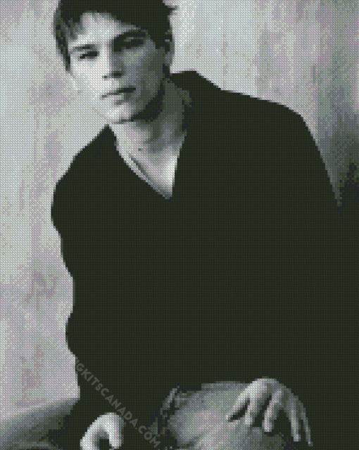 Black And White Josh Hartnett Diamond Painting