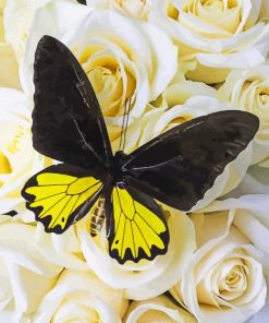 Black And Yellow Butterfly Diamond Painting