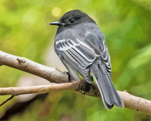 Black Phoebe on Tree Diamond Painting