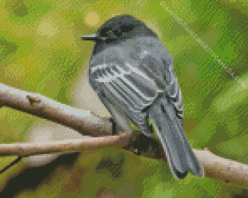 Black Phoebe on Tree Diamond Painting