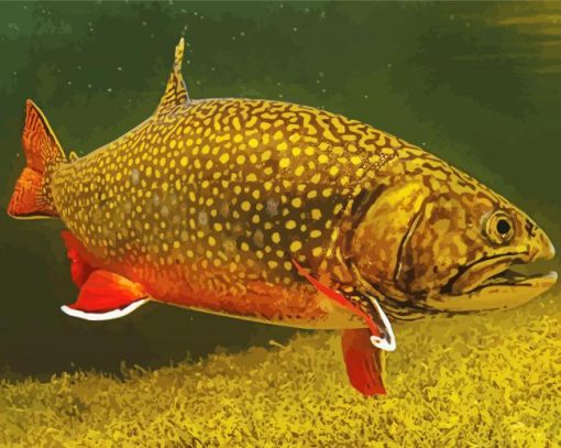 Brook Trout Underwater Diamond Painting