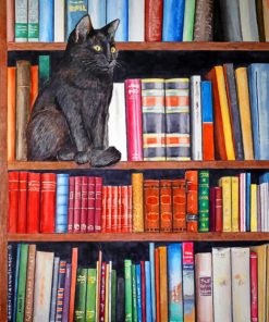 Cat On Bookshelf Diamond Painting