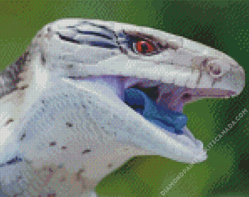 Close Up Blue Tongued Skink Diamond Painting