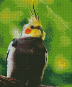 Cockatiel Bird Diamond Painting