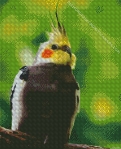 Cockatiel Bird Diamond Painting