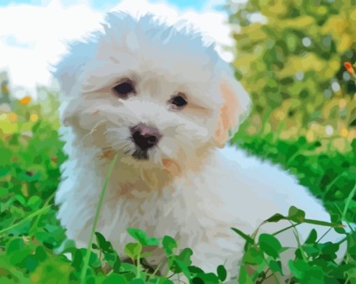 Coton Tulear Puppy Diamond Painting