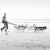 Dogs on Beach Black And White Diamond Painting