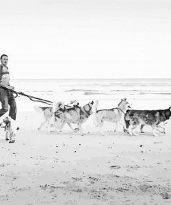 Dogs on Beach Black And White Diamond Painting