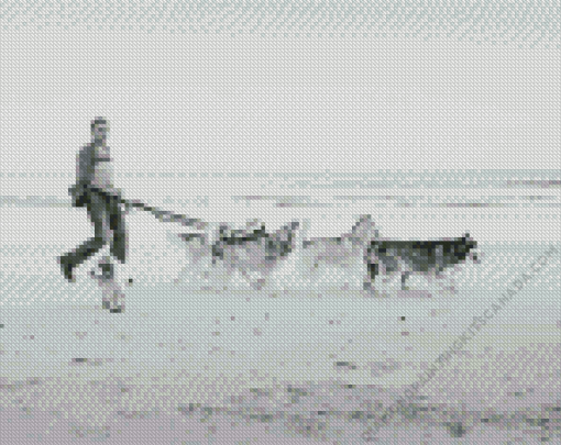 Dogs on Beach Black And White Diamond Painting