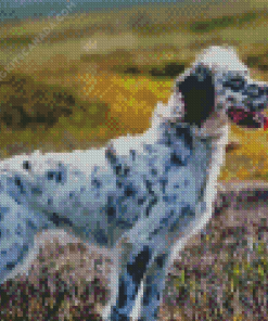 English Setter Dog Diamond Painting