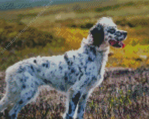 English Setter Dog Diamond Painting