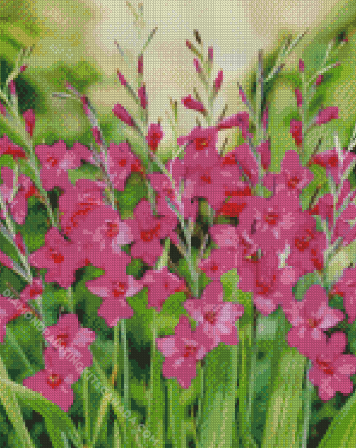 Fuchsia Gladiolus Plants Diamond Painting