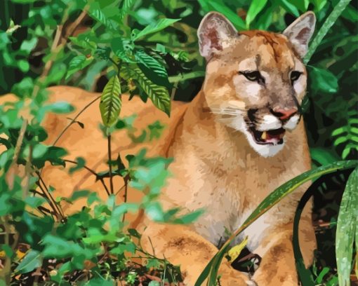 Generic Florida Panther Diamond Painting