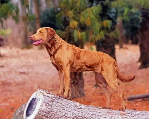 Golden Chesapeake Bay Retriever Diamond Painting