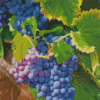 Grape Vines Diamond Painting