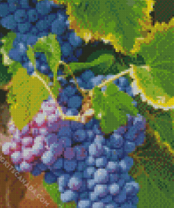 Grape Vines Diamond Painting