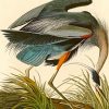 Great Blue Heron Audubon Diamond Painting