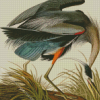 Great Blue Heron Audubon Diamond Painting