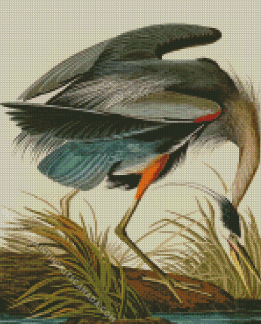 Great Blue Heron Audubon Diamond Painting