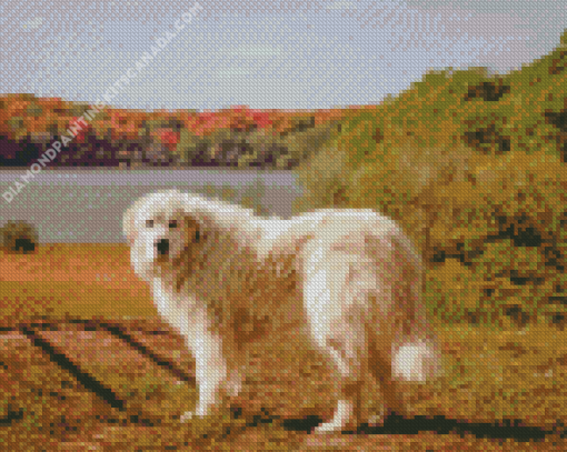 Great Pyrenees Dog Diamond Painting