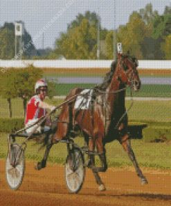 Harness Horse Race Diamond Painting