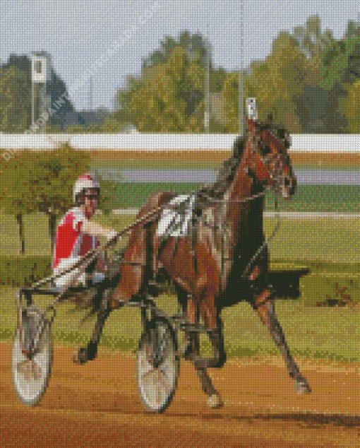 Harness Horse Race Diamond Painting