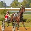 Harness Horse Race Diamond Painting