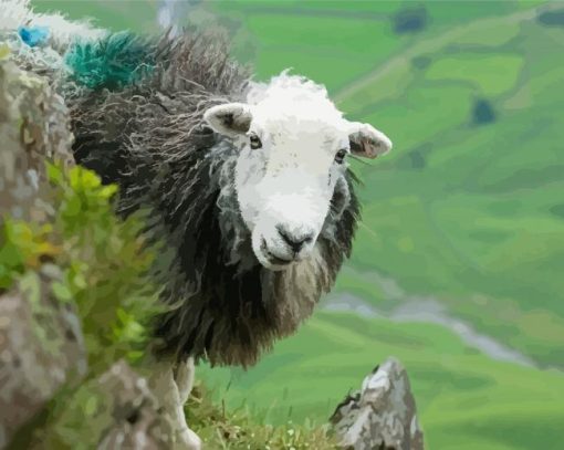 Herdwick Sheep Diamond Painting