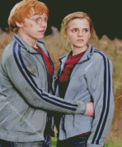 Hermione And Ron Harry Potter Characters Diamond Painting
