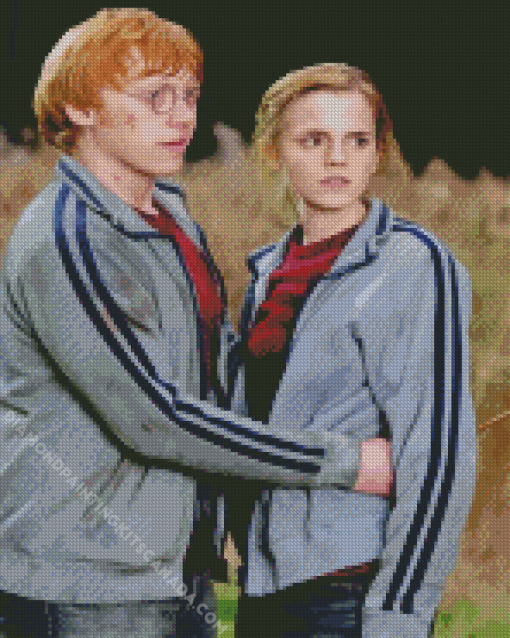 Hermione And Ron Harry Potter Characters Diamond Painting