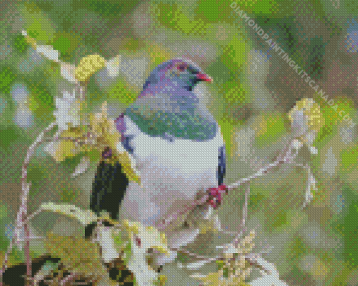 Kereru on Tree Diamond Painting