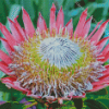 King Protea Diamond Painting