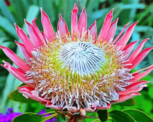 King Protea Diamond Painting