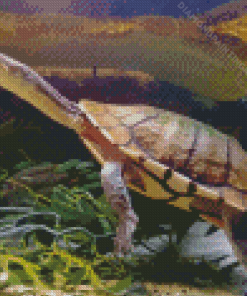 Long Neck Turtle Diamond Painting