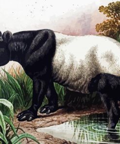 Malayan Tapir Diamond Painting