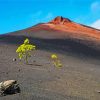 Mount Teide Tenerife Diamond Painting