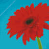 Red Gerbera Daisy Diamond Painting