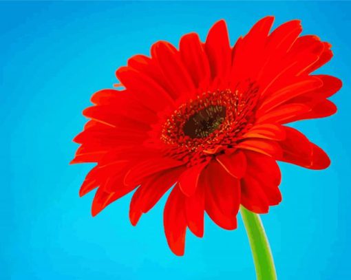 Red Gerbera Daisy Diamond Painting